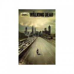 Poster Ciudad Walking Dead